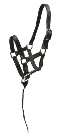 WAHLSTEN NYLON FOAL HALTER, BLACK